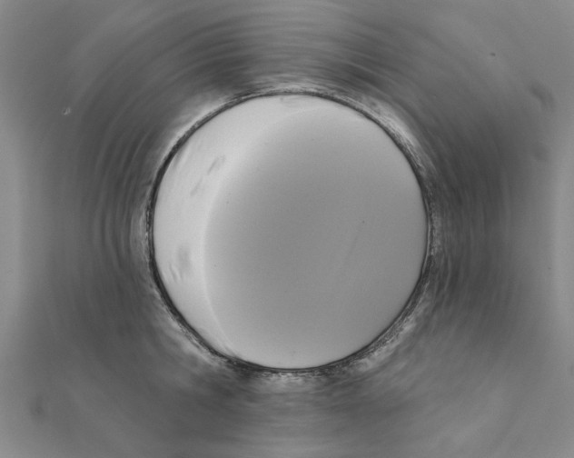 X0000111220806200907301224