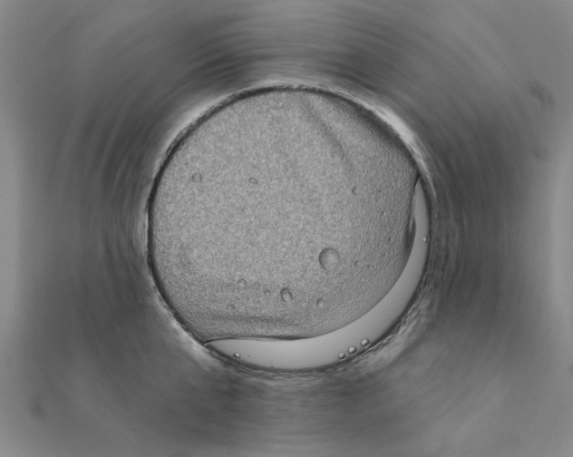 X0000111220807200907301224