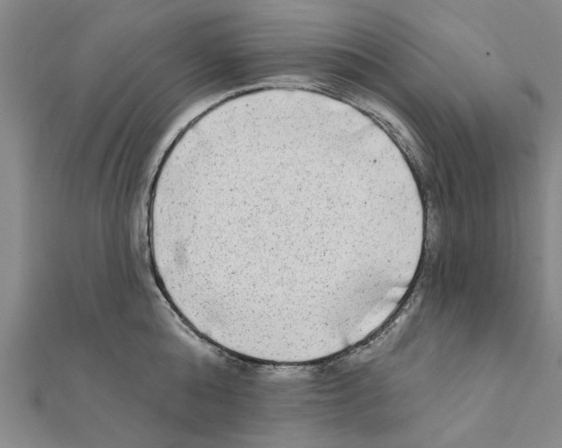 X0000111220808200907301224