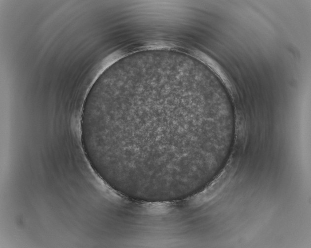 X0000111220810200907301224