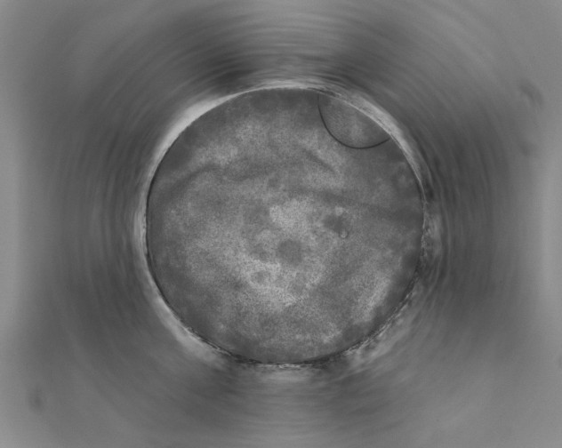 X0000111220811200907301224