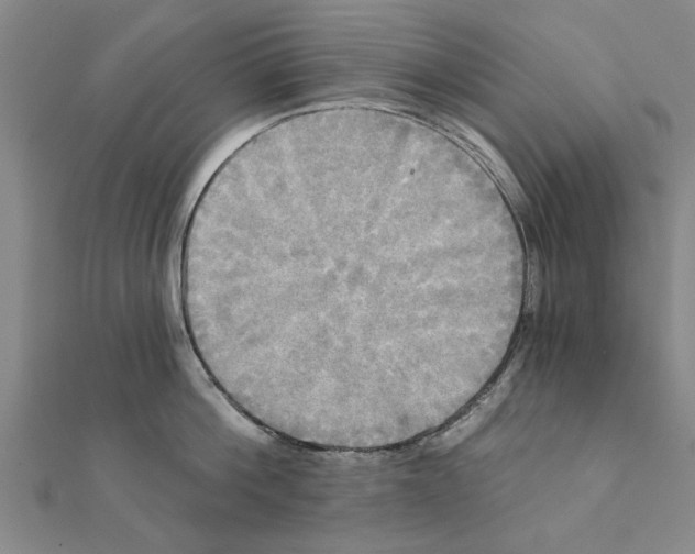 X0000111220812200907301224