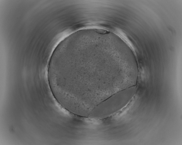 X0000111220813200907301224