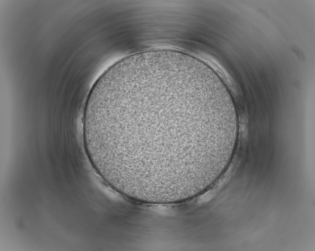 X0000111220814200907301224