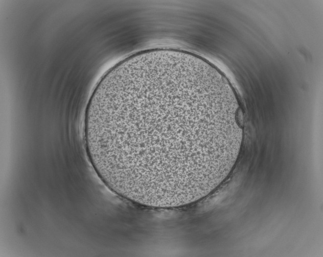 X0000111220815200907301224