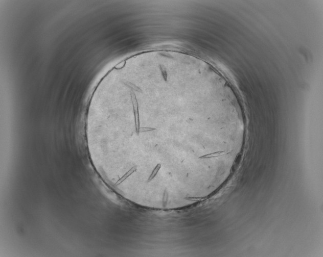 X0000111220816200907301224