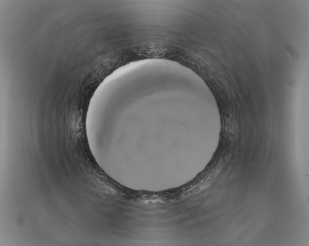 X0000111220818200907301223