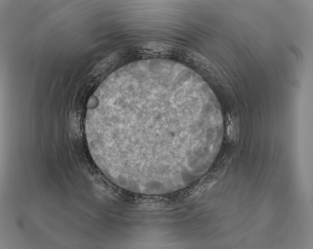 X0000111220819200907301223