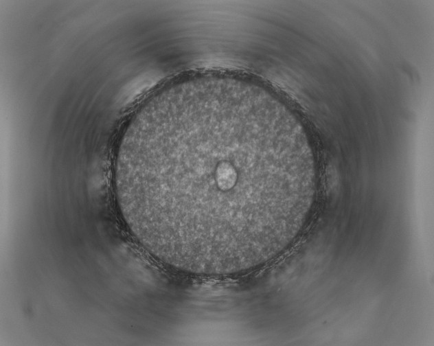 X0000111220824200907301223