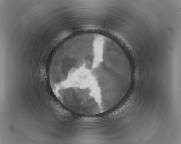 X0000111220825200907301223