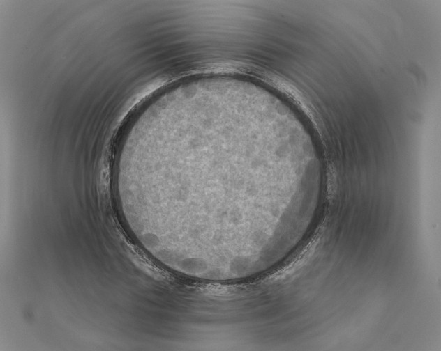 X0000111220827200907301223