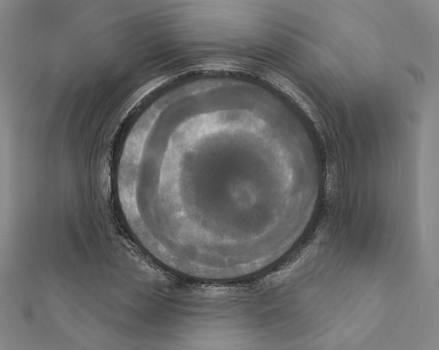 X0000111220829200907301224