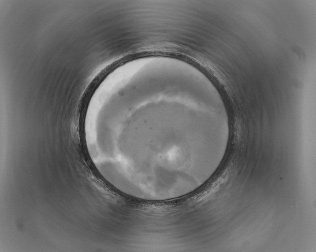 X0000111220830200907301224