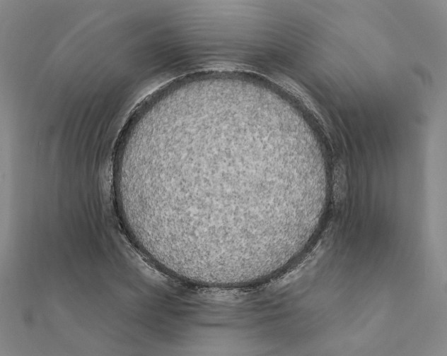X0000111220831200907301224