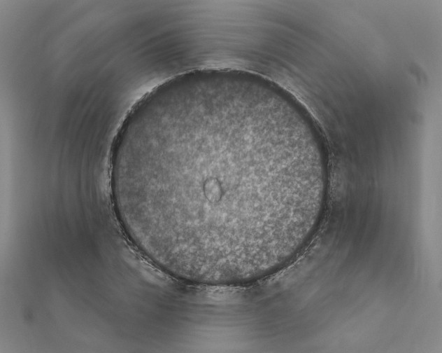 X0000111220832200907301224