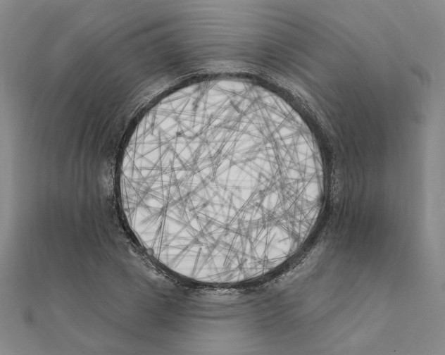 X0000111220833200907301224