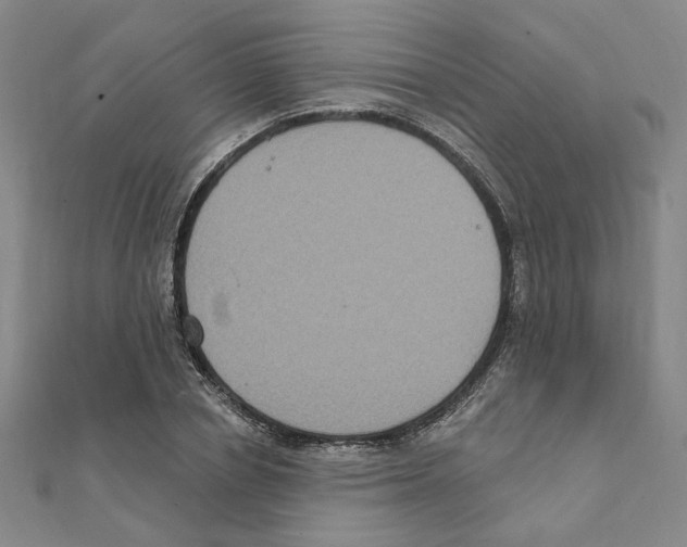 X0000111220834200907301224