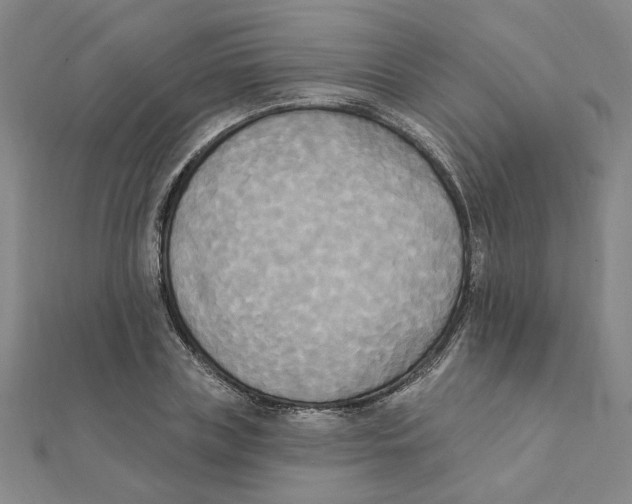X0000111220835200907301224