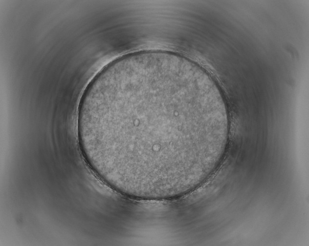 X0000111220836200907301224