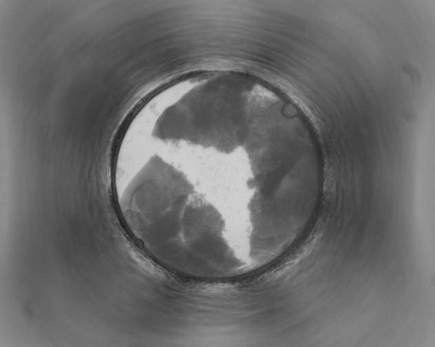 X0000111220837200907301224