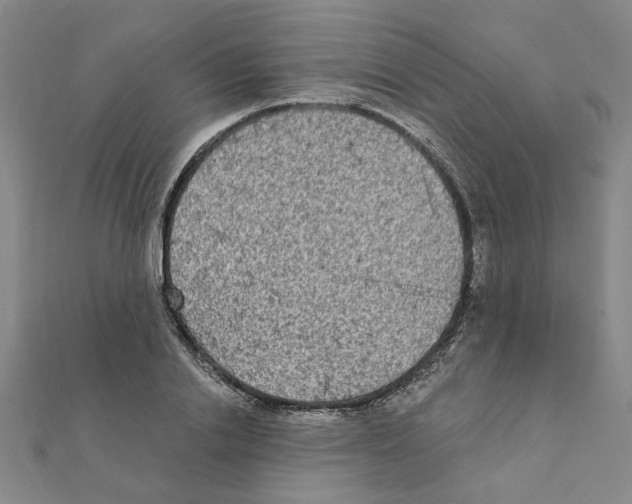 X0000111220838200907301224