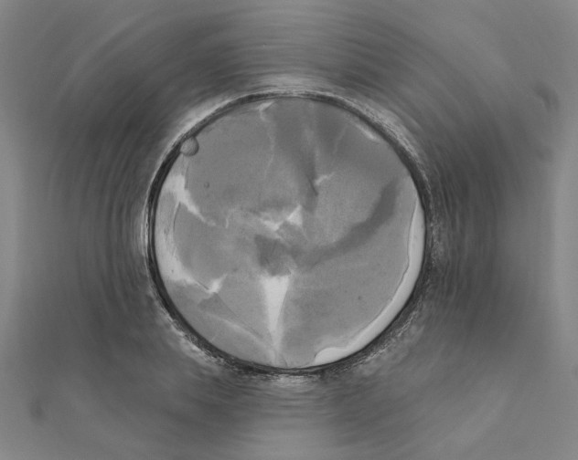 X0000111220839200907301224