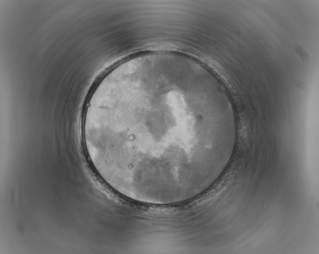 X0000111220840200907301224