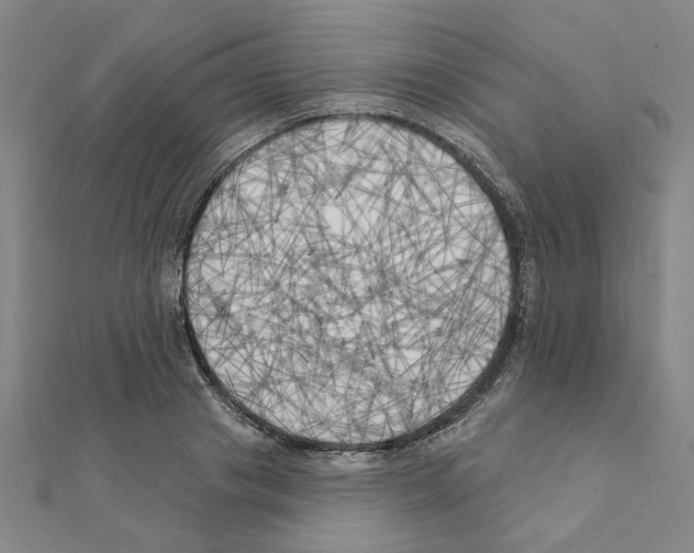 X0000111220841200907301224