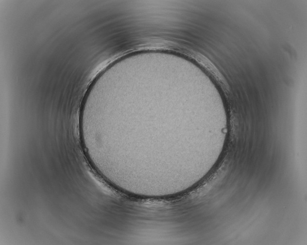 X0000111220842200907301224