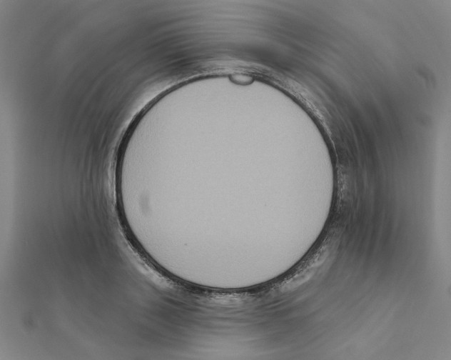 X0000111220843200907301224