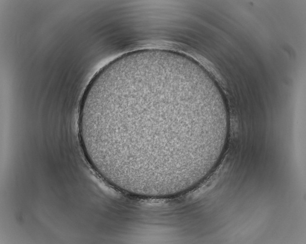 X0000111220846200907301224