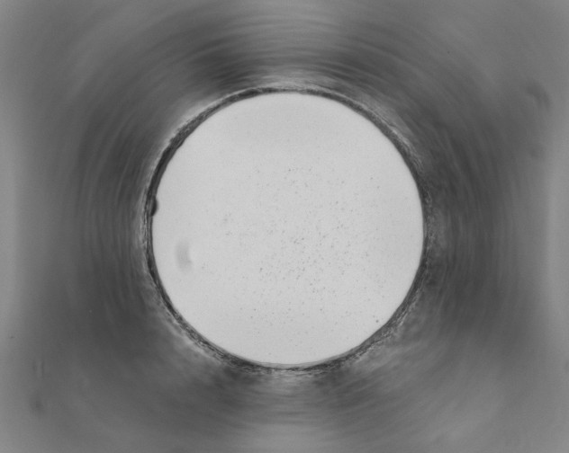 X0000111220848200907301224