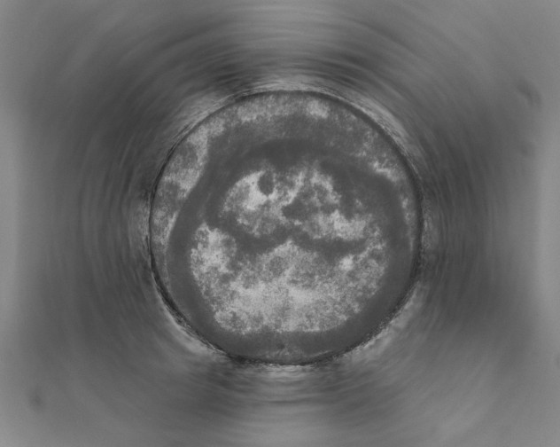 X0000111220849200907301224