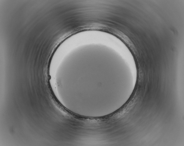 X0000111220850200907301224