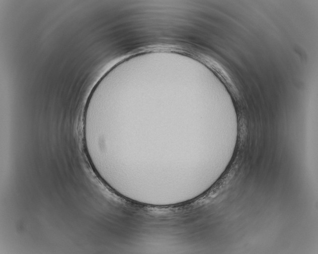 X0000111220852200907301224