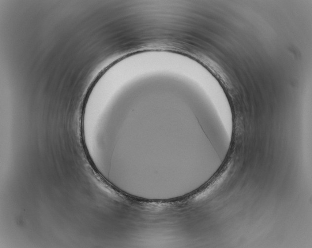X0000111220854200907301224