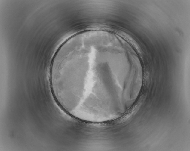 X0000111220855200907301224
