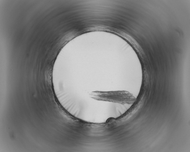 X0000111220857200907301224