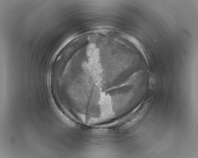 X0000111220859200907301224