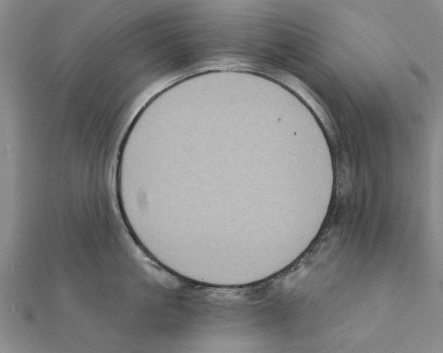 X0000111220861200907301224