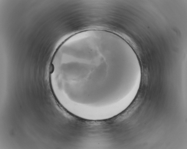 X0000111220862200907301224
