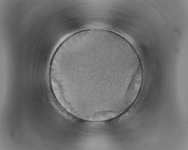 X0000111220864200907301224