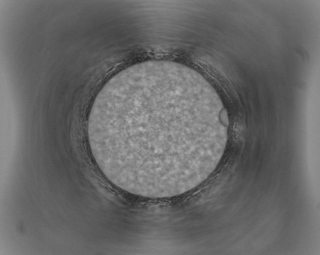 X0000111220865200907301223