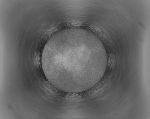 X0000111220866200907301223