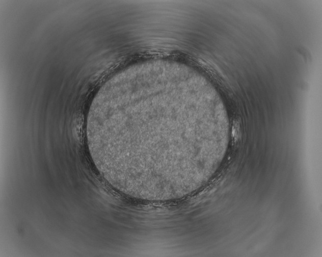 X0000111220867200907301223