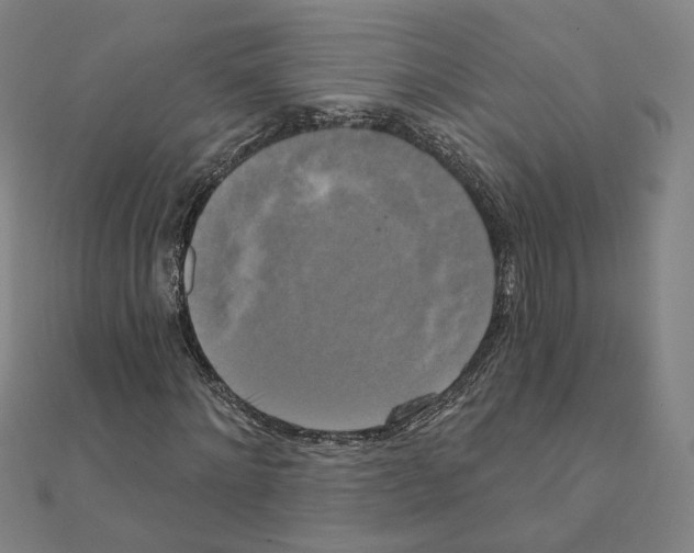 X0000111220868200907301223