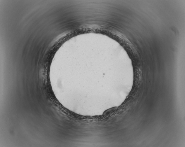 X0000111220872200907301223