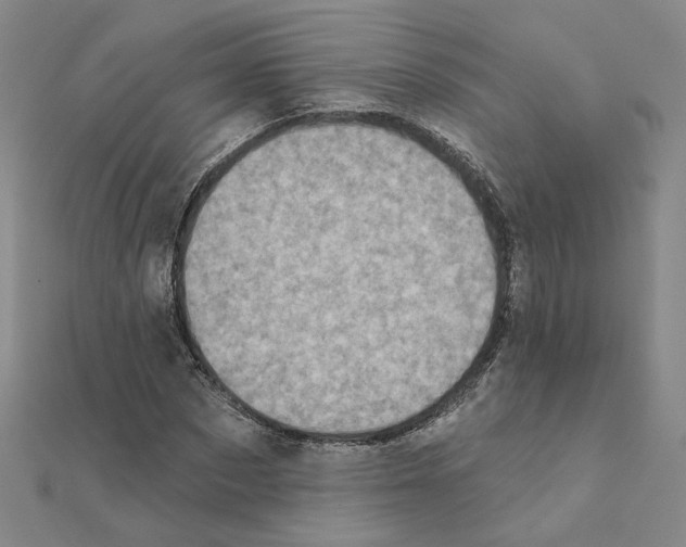 X0000111220873200907301223