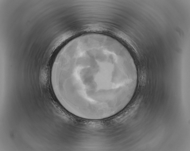 X0000111220874200907301223