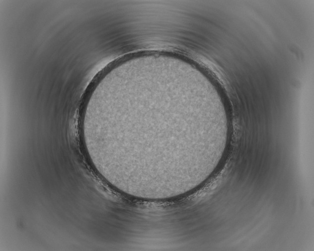 X0000111220875200907301223